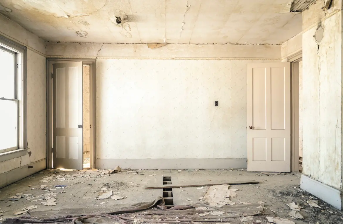 Waste disposal crew managing a cleanout project in Longwood